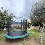La Casa De Ranas Poio