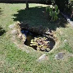 La Casa De Ranas 度假居 博伊奥