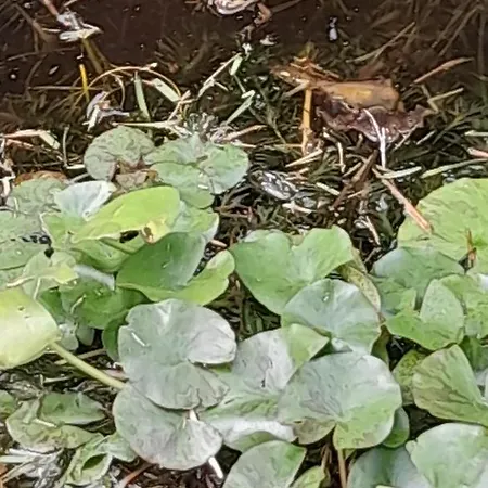 Casa vacanze La Casa De Ranas