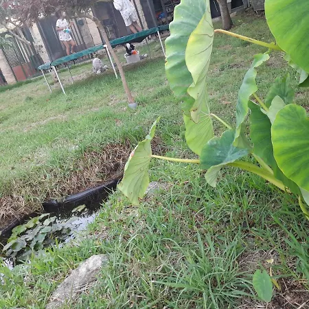 Дом отдыха La Casa De Ranas Пойо