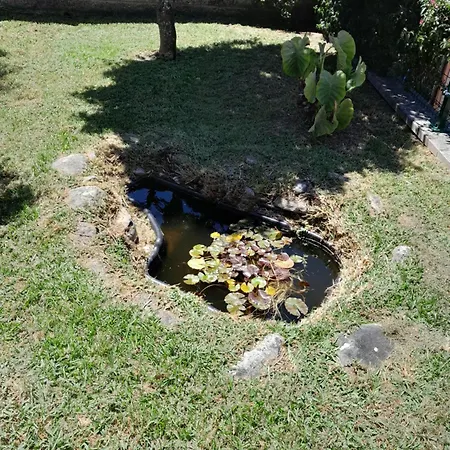 La Casa De Ranas Tatil Evi Poio