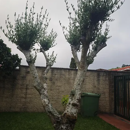 度假居 La Casa De Ranas 博伊奥
