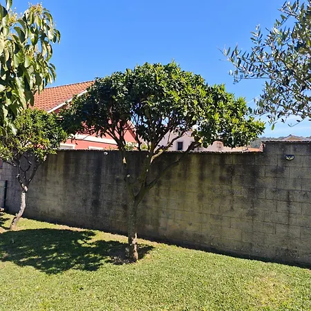 La Casa De Ranas 度假居 *