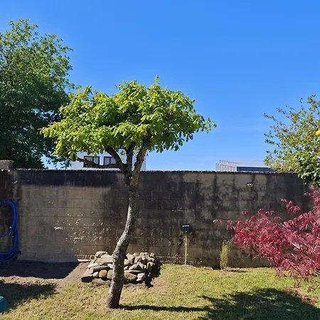La Casa De Ranas * 博伊奥