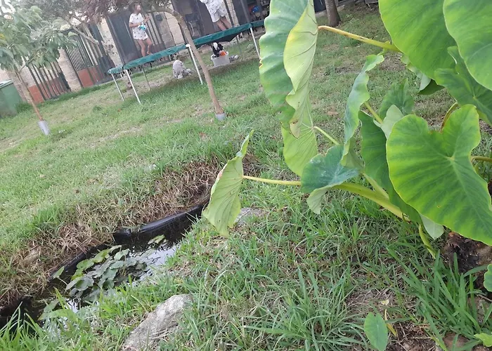 Tatil Evi La Casa De Ranas Poio