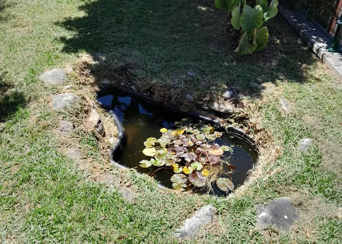 La Casa De Ranas Tatil Evi Poio